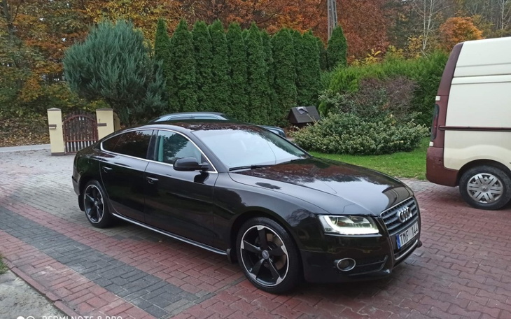 Zbiórka Pomoc w realizacji marzeń 2 - zdjęcie główne