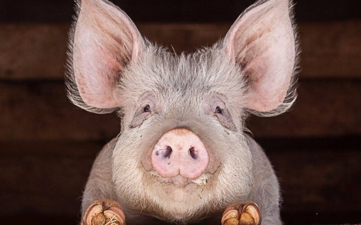 Zbiórka Dzień funkcjonowania Korabek - zdjęcie główne