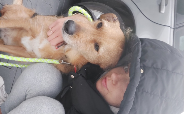 Zbiórka Pogryziona przez psy i wyrzucona - zdjęcie główne