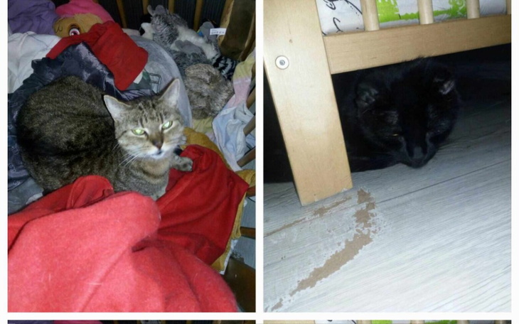 Zbiórka Nieszczęśliwa 7 - zdjęcie główne