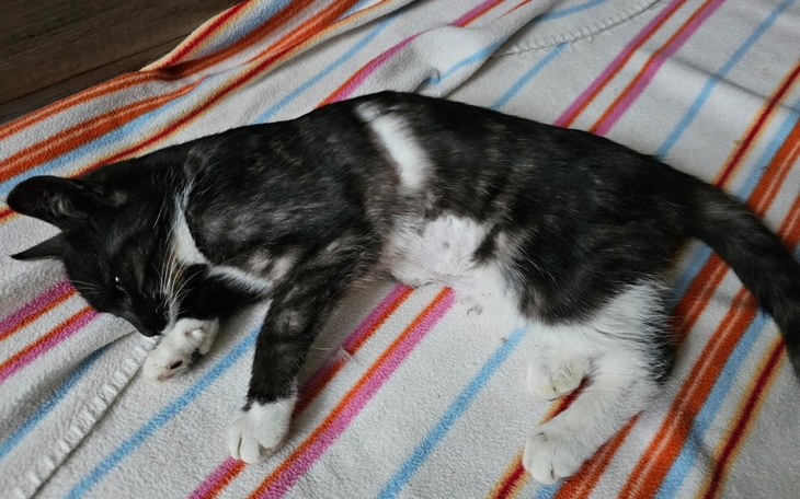 Zbiórka Czekam na śmierć jestem niczyj. - zdjęcie główne