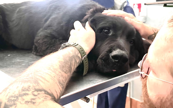 Zbiórka By Umma nie przestała chodzić - zdjęcie główne