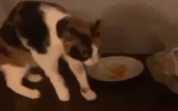 Zbiórka Uratujmy jej życie - zdjęcie główne