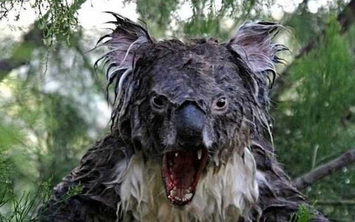 Zbiórka gra dla chorej corki - zdjęcie główne