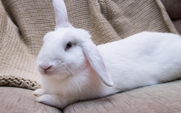 Zbiórka Nowe wyposażenie SPK Wrocław - zdjęcie główne