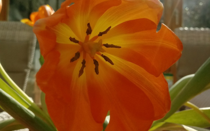 Zbiórka Na rehabilitację przy RZS - zdjęcie główne