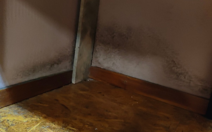 Zbiórka Potrzebuje na ocieplenie i opał - zdjęcie główne