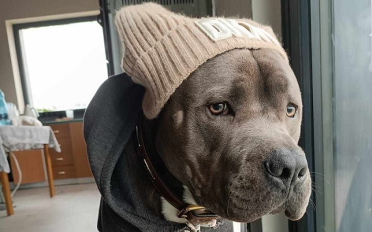 Zbiórka Operacja i rehabilitacja Bono - zdjęcie główne