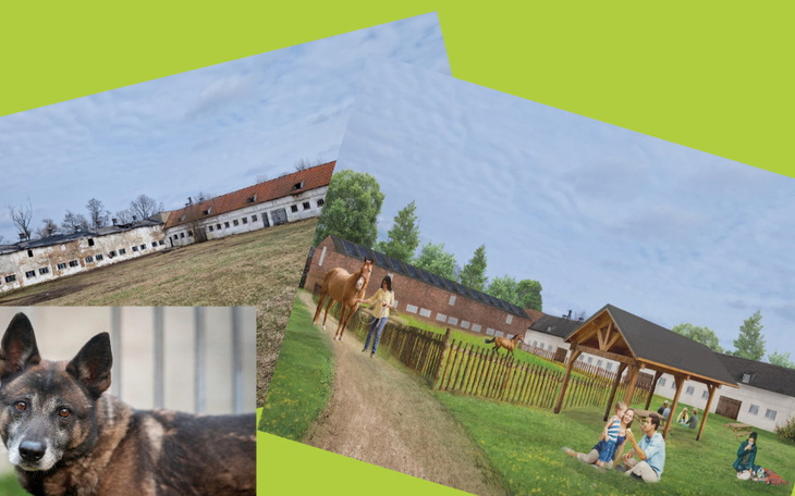 Wizualizacja ośrodka z końmi i rodziną.