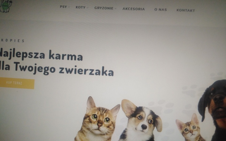 Zbiórka Sklep zoologiczny internetowy - zdjęcie główne