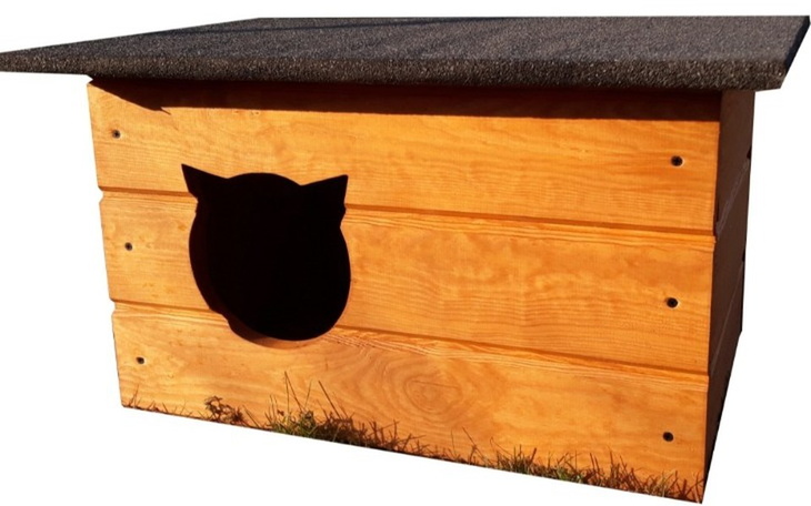 Zbiórka Domki dla kotków - zdjęcie główne