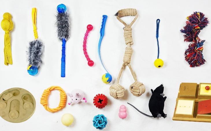 Zbiórka zabawka dla szczurka - zdjęcie główne