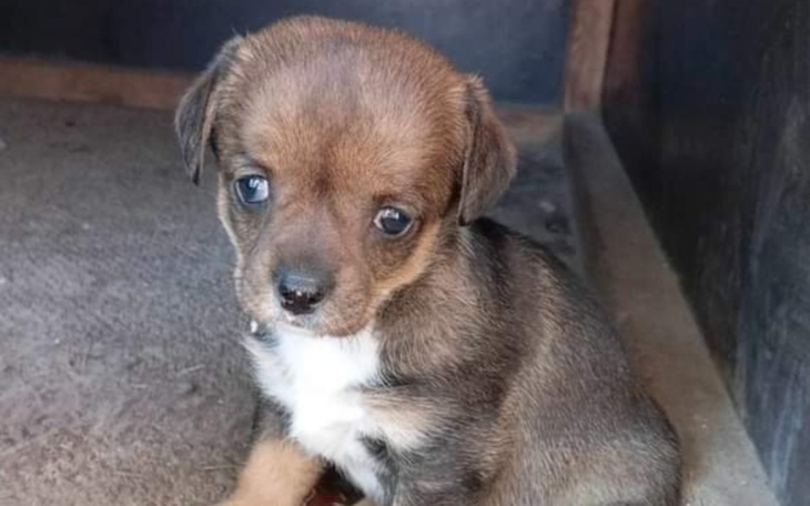 Zbiórka Transport do Judytowa - zdjęcie główne