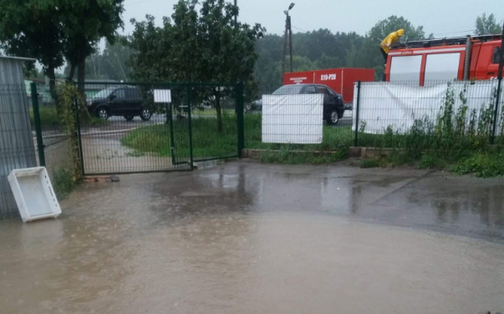 Zbiórka SOS animalsom,schronisko zalane - zdjęcie główne