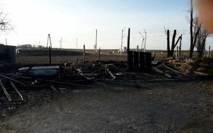 Zbiórka Na tropie szczęścia - zdjęcie główne