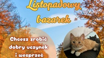 Zbiórka Listopadowy Bazarek 25 - miniaturka zdjęcia