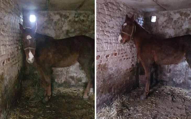 Zbiórka Dzielna - zostały 2 dni! - zdjęcie główne