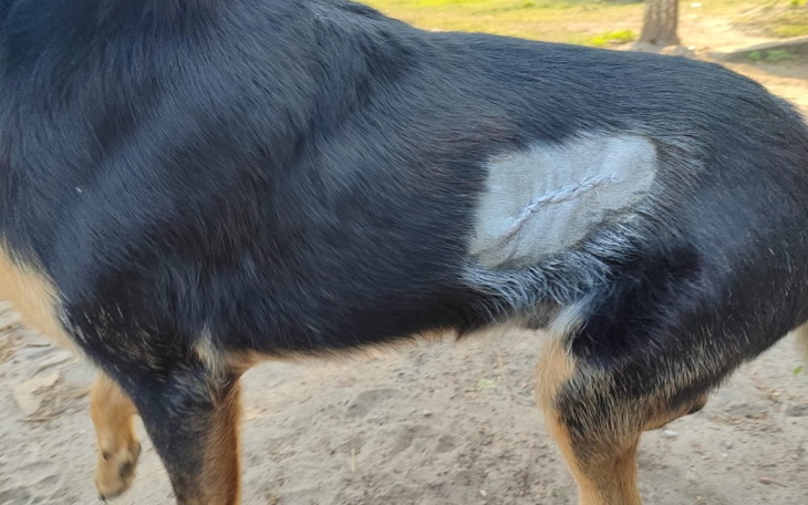 Zbiórka Rozcięty bok, wsparcie - zdjęcie główne