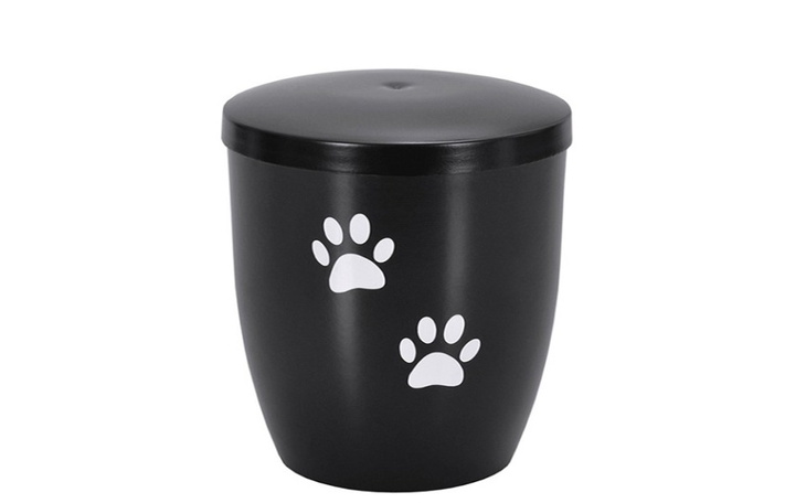 Zbiórka Pożegnanie Pigi - zdjęcie główne