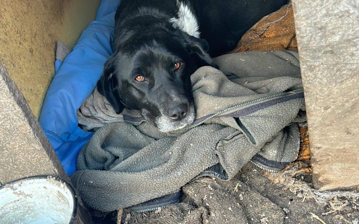 Zbiórka Pomoc dla Natki - zdjęcie główne