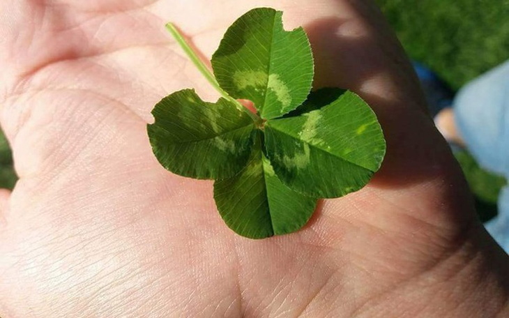 Zbiórka Wymarzony remont mieszkania! - zdjęcie główne