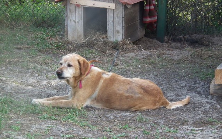 Zbiórka Wojtek wkracza w nowe życie. - zdjęcie główne