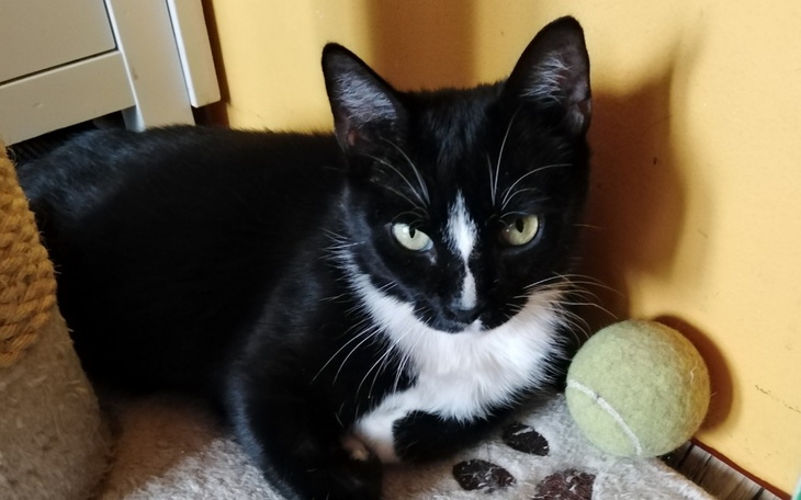 Zbiórka Pomożemy Biedroneczce - zdjęcie główne