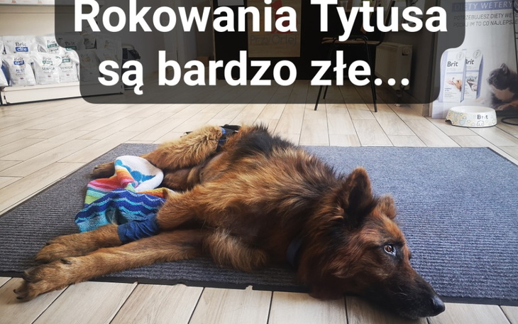 Zbiórka Tytus doznał nagłego paraliżu - zdjęcie główne