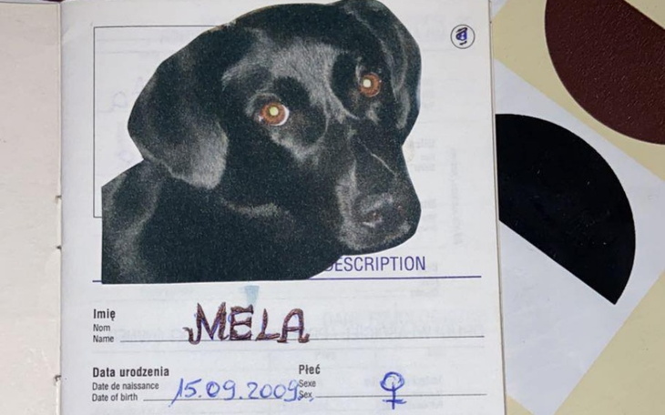 Zbiórka Ratujmy Mele - zdjęcie główne