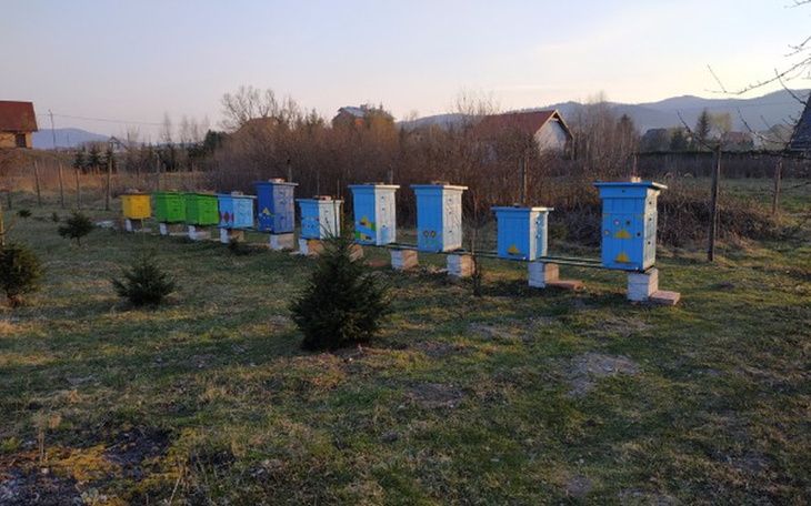 Zbiórka Pasieka Młodego Pszczelarza - zdjęcie główne