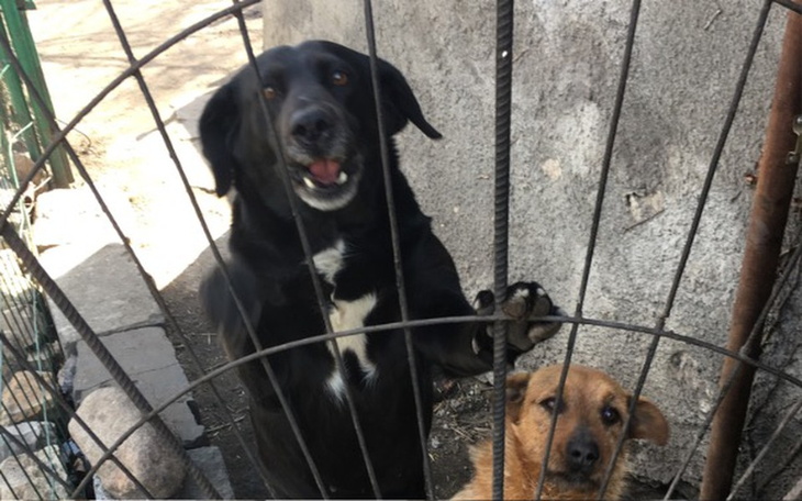 Zbiórka Miski 8 Edycja - zdjęcie główne