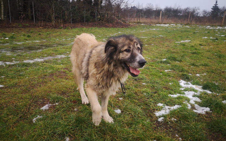 Zbiórka Na diagnostykę guza dla Manu - zdjęcie główne