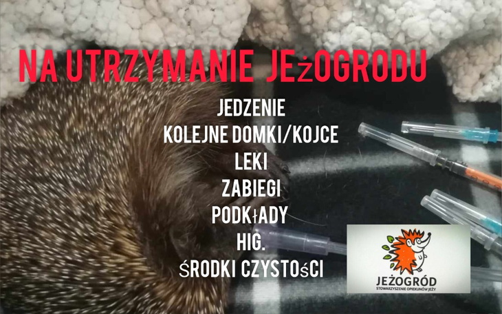 Zbiórka Razem BUDUJMY JEŻOGRÓD - zdjęcie główne