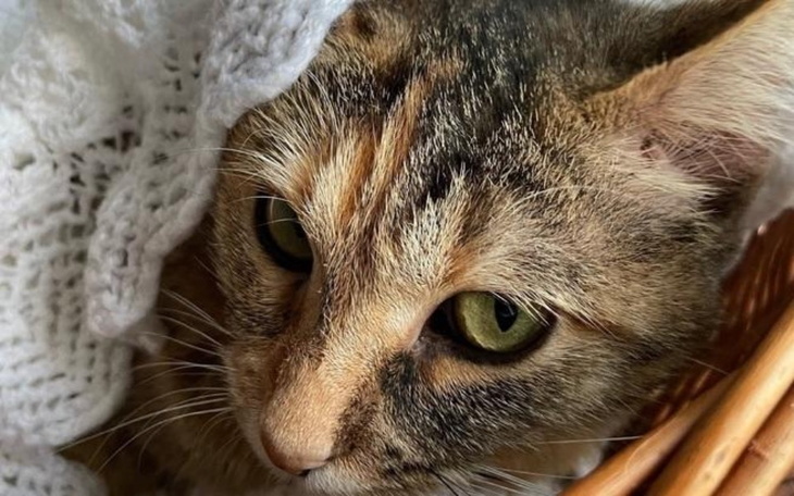 Zbiórka Opał dla potrzebujących - zdjęcie główne