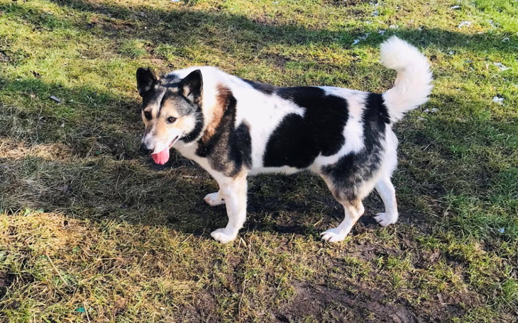 Zbiórka Atos z Radys ciągle bez wsparcia - zdjęcie główne