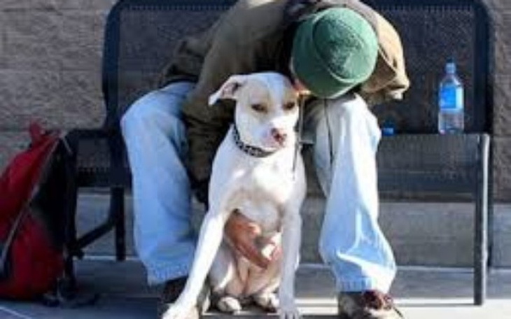 Zbiórka bieda z nędzą - zdjęcie główne