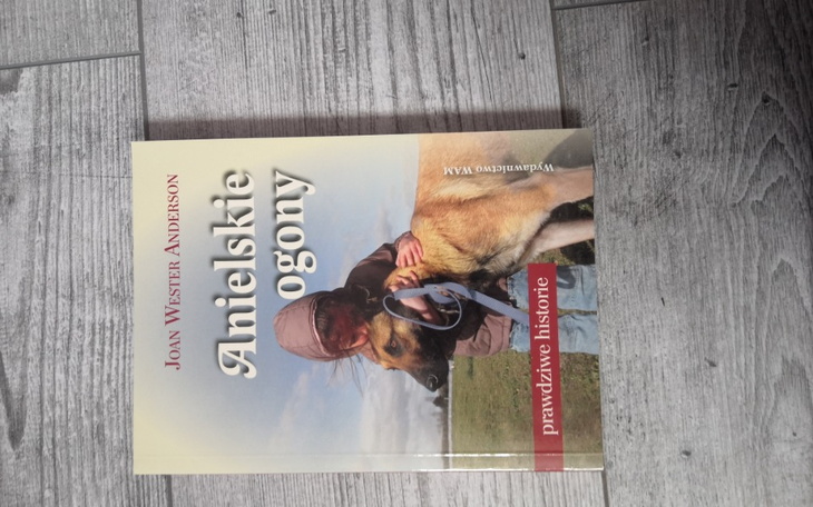 Zbiórka Zakup książek dla nastolatki - zdjęcie główne