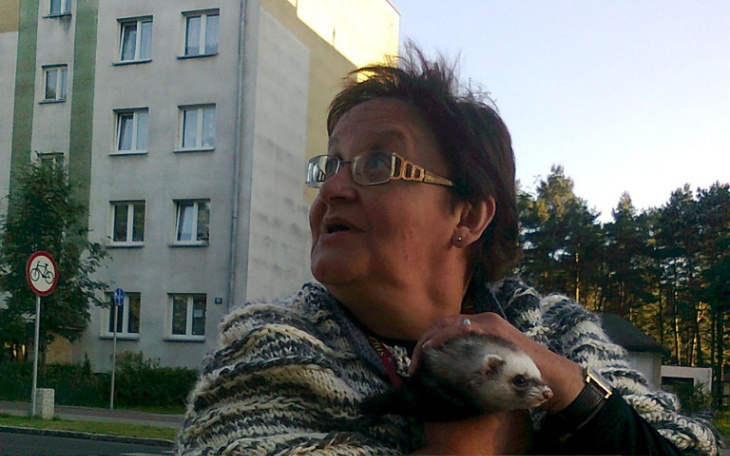 Zbiórka przejazd na rehabilitację - zdjęcie główne