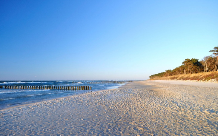 Zbiórka Pomocy..// - zdjęcie główne