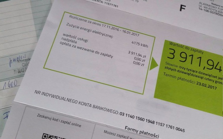 Zbiórka Za ciepło dla kotów - schronisko - zdjęcie główne