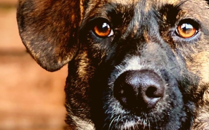 Zbiórka Urodzinowa zbiórka. - zdjęcie główne