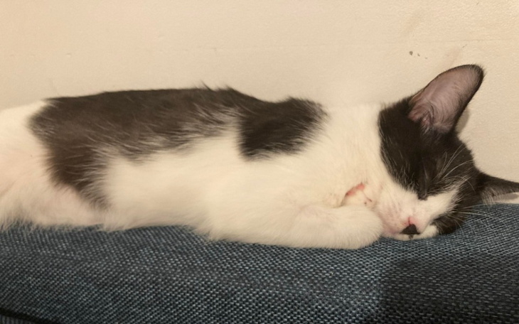 Zbiórka Ostatnia prosta walki o życie - zdjęcie główne