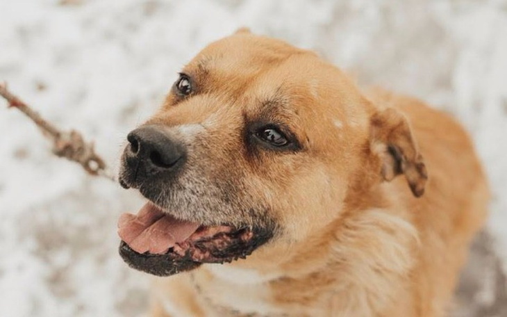 Zbiórka NIEWIDZIALNY RAMZES :( Pokochaj! - zdjęcie główne