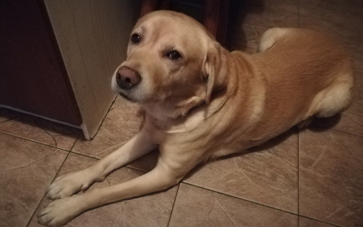 Zbiórka Pomoc dla Barego - zdjęcie główne