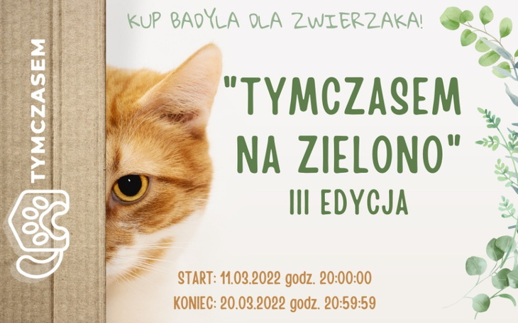 Zbiórka Tymczasem na Zielono III - zdjęcie główne