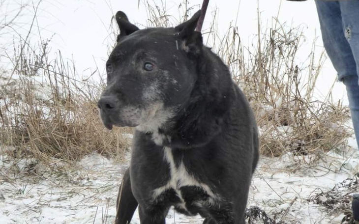 Zbiórka Zaznac szczęścia przed śmiercią - zdjęcie główne