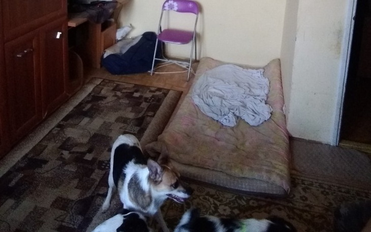 Zbiórka Pani Teresa potrzebuje pomocy - zdjęcie główne