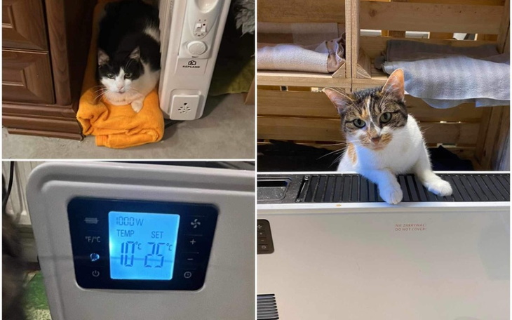 Zbiórka Czy stracą swój jedyny dom - zdjęcie główne