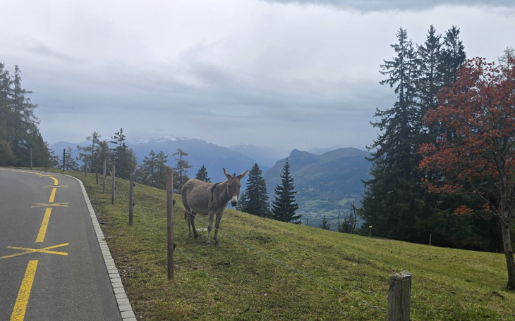 Zbiórka Na podróże z przyjacielem - zdjęcie główne