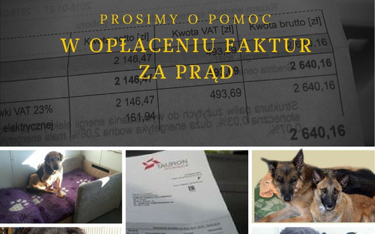 Zbiórka Faktura za prąd. Błagamy o pomoc - zdjęcie główne